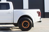 2017 Ford F-150 Raptor Widebody for sale