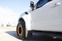 2017 Ford F-150 Raptor Widebody for sale