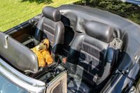 1987 Alfa Romeo Spider Veloce for sale