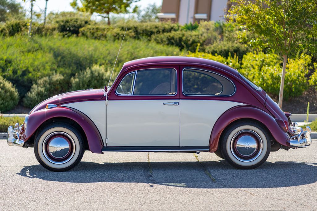 1967 Volkswagen Beetle for sale