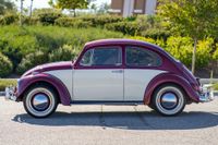 1967 Volkswagen Beetle for sale