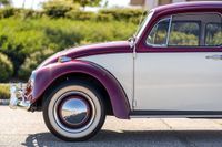 1967 Volkswagen Beetle for sale