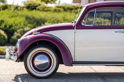 1967 Volkswagen Beetle for sale