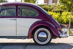 1967 Volkswagen Beetle for sale
