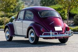 1967 Volkswagen Beetle for sale