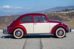 1967 Volkswagen Beetle for sale