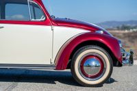 1967 Volkswagen Beetle for sale