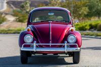 1967 Volkswagen Beetle for sale