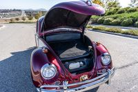 1967 Volkswagen Beetle for sale