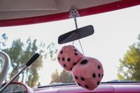 1955 Ford Fairlane for sale
