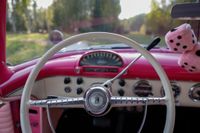 1955 Ford Fairlane for sale