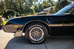 1979 Pontiac Firebird Bandit Edition for sale
