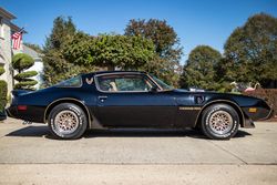 1979 Pontiac Firebird Bandit Edition for sale