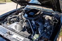1979 Pontiac Firebird Bandit Edition for sale