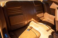 1979 Pontiac Firebird Bandit Edition for sale