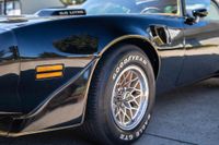 1979 Pontiac Firebird Bandit Edition for sale