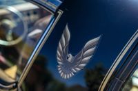 1979 Pontiac Firebird Bandit Edition for sale