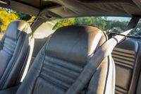 1979 Pontiac Firebird Silver Anniversary for sale