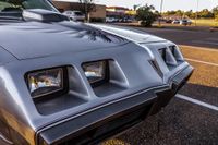 1979 Pontiac Firebird Silver Anniversary for sale
