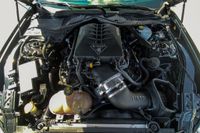 2019 Ford Mustang GT Supercharged for sale