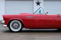 1955 Ford Thunderbird for sale