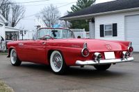 1955 Ford Thunderbird for sale