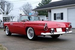 1955 Ford Thunderbird for sale