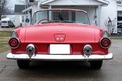 1955 Ford Thunderbird for sale