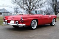 1955 Ford Thunderbird for sale