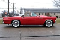 1955 Ford Thunderbird for sale