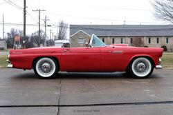 1955 Ford Thunderbird for sale
