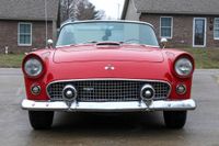 1955 Ford Thunderbird for sale