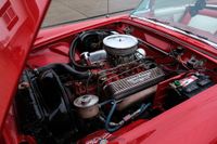 1955 Ford Thunderbird for sale
