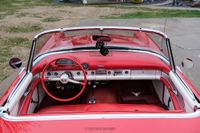 1955 Ford Thunderbird for sale