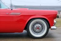 1955 Ford Thunderbird for sale