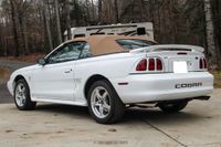 1998 Ford Mustang SVT Cobra Convertible for sale