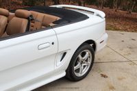 1998 Ford Mustang SVT Cobra Convertible for sale