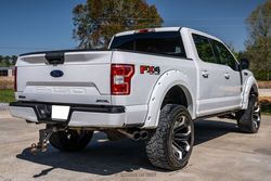 2019 Ford F-150 Black Widow Edition for sale