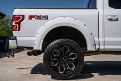 2019 Ford F-150 Black Widow Edition for sale