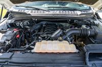 2019 Ford F-150 Black Widow Edition for sale