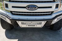 2019 Ford F-150 Black Widow Edition for sale