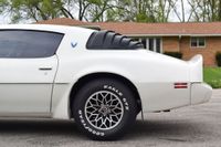1979 Pontiac Firebird Trans Am for sale