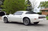 1979 Pontiac Firebird Trans Am for sale