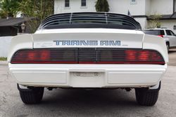 1979 Pontiac Firebird Trans Am for sale