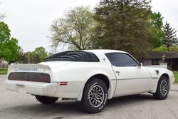 1979 Pontiac Firebird Trans Am for sale