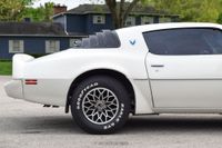 1979 Pontiac Firebird Trans Am for sale