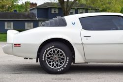 1979 Pontiac Firebird Trans Am for sale