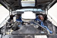 1979 Pontiac Firebird Trans Am for sale
