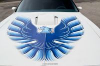 1979 Pontiac Firebird Trans Am for sale