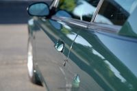 2001 Ford Mustang Bullitt Coupe for sale